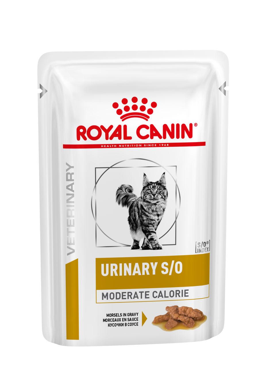 Royal Canin Kat Urinary S/O | Moderate Calorie - morsels in gravy