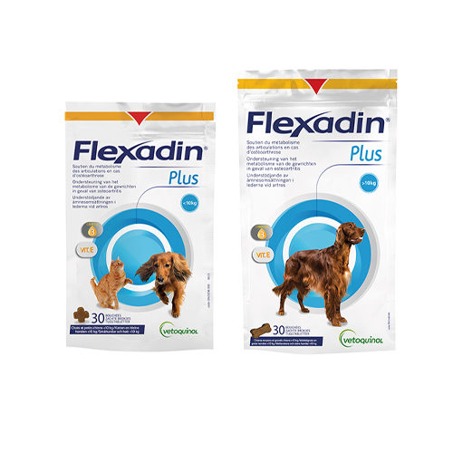 Flexadin Plus