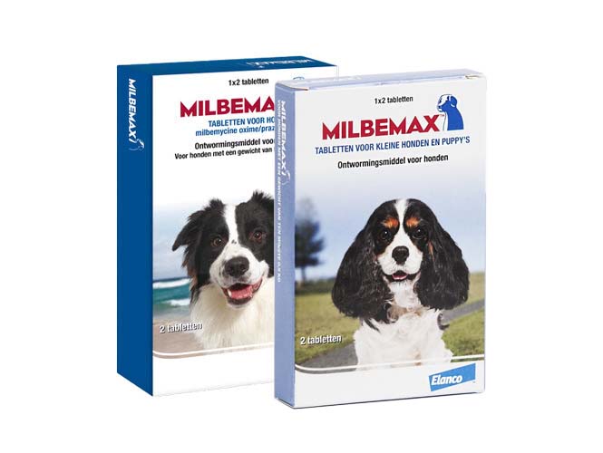 Milbemax Hond