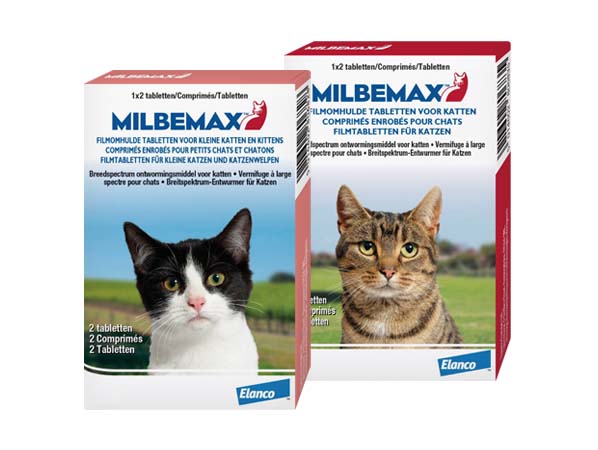 Milbemax Ontworming Kat