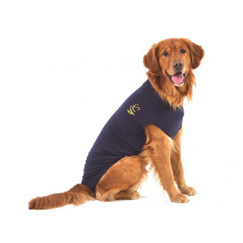 Medical Pet Shirt Hond