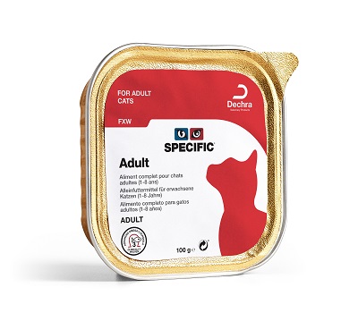 Specific Kat Adult | FXW