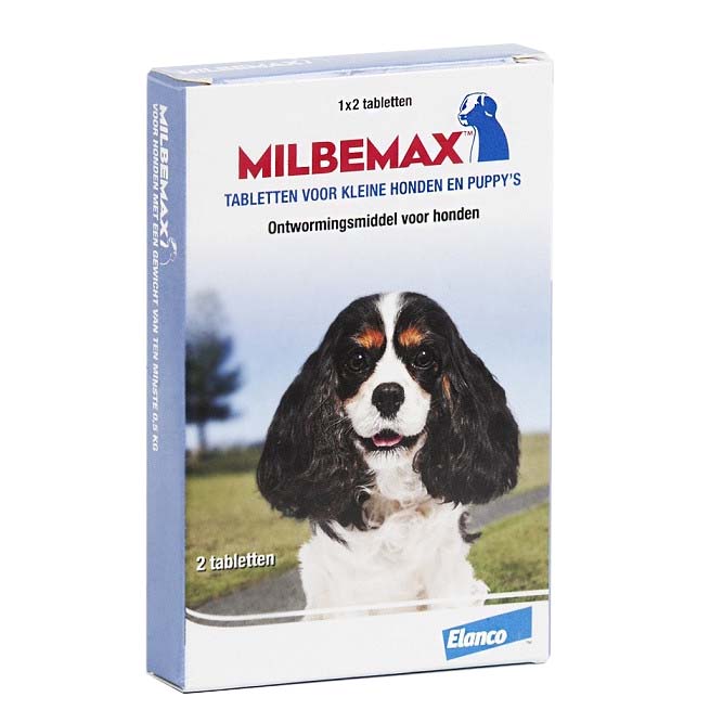 Milbemax Hond